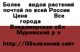 Более200 видов растений почтой по всей России › Цена ­ 100-500 - Все города  »    . Владимирская обл.,Муромский р-н